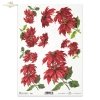 Christmas flower, Christmas. Star of Bethlehem, plant, Christmas decorations, Christmas motifs, 